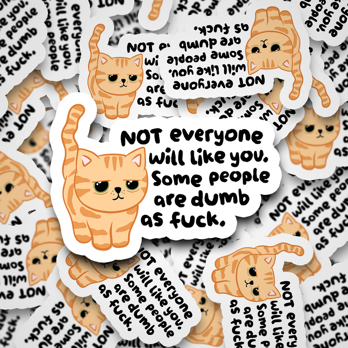 Not Everyone Will Like You