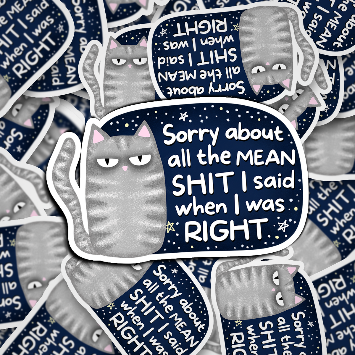 sorry about the mean shit i said when i was right