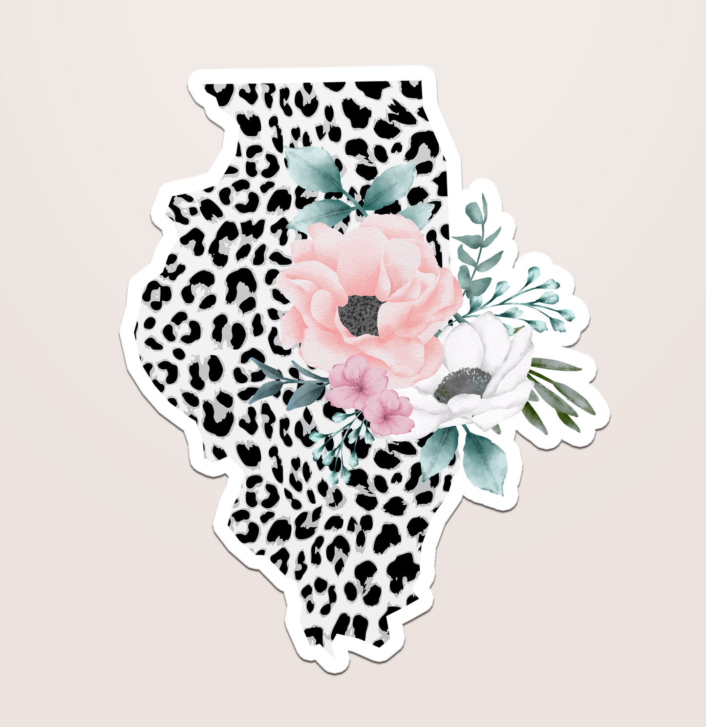 illinois