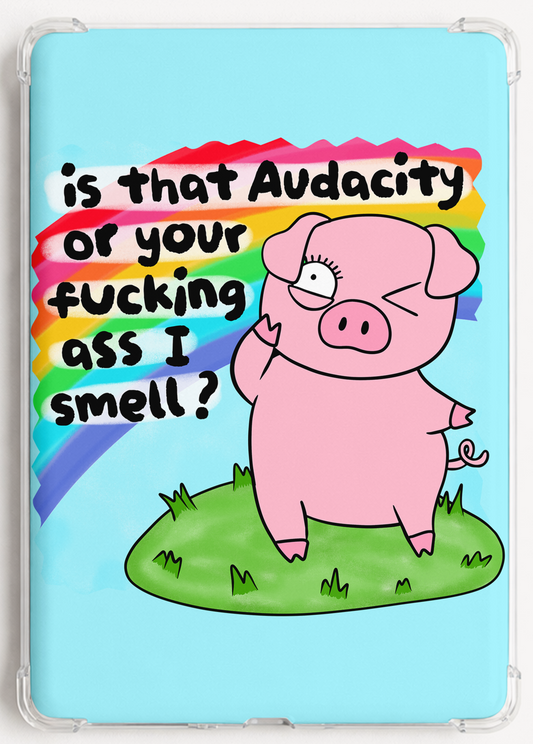 is that audacity or your ass?